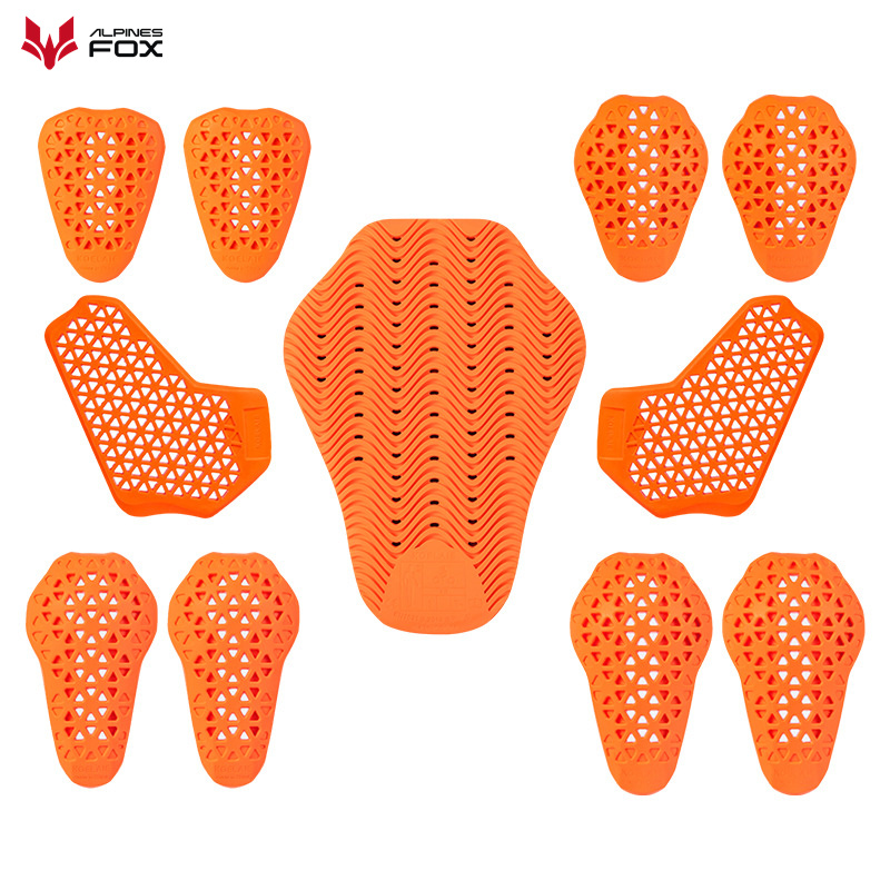 Universal Built-In Protective  - огляд і ціна Motorcycle Gear Alpine